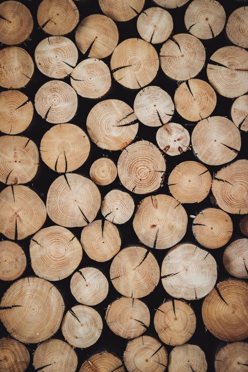 Quels sont les avantages des bûches de bois compressées ?